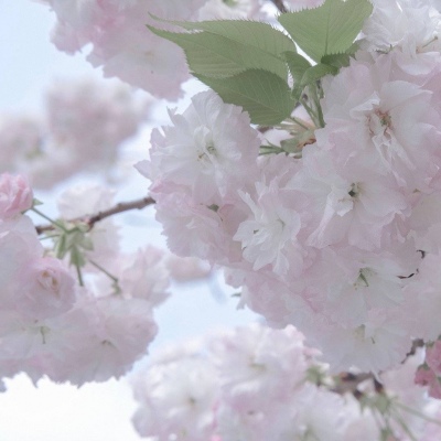 Furry绘画色彩搭配Furry群