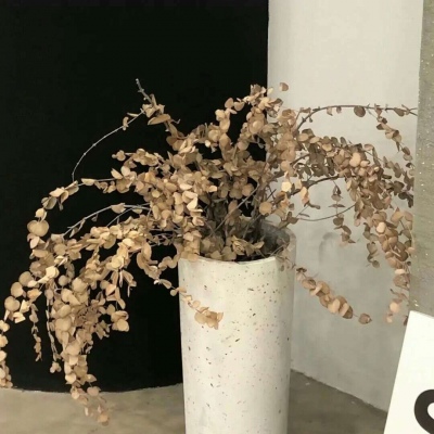 乌海福瑞交流群